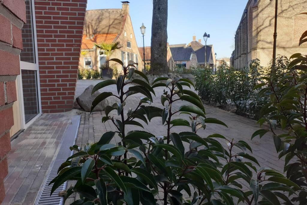 Brinkzicht Diever, Appartement Bert Kültér fotó